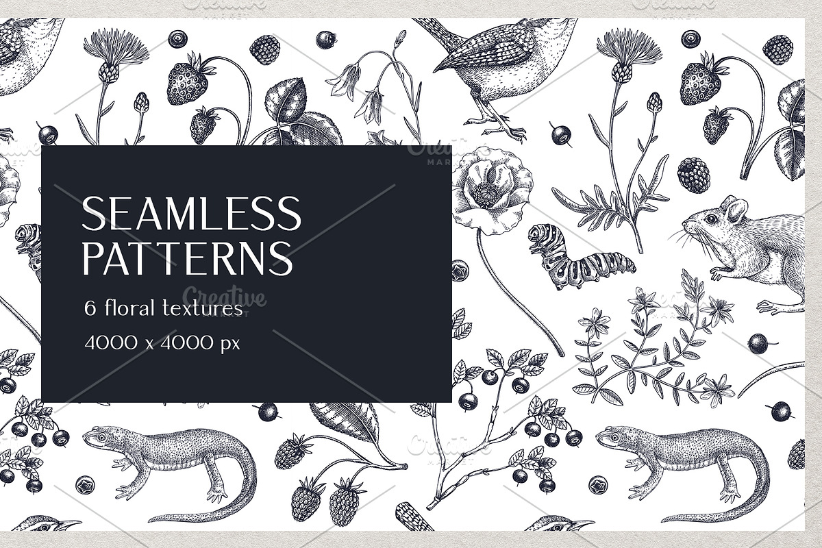Vector Animals & Summer Flowers Set, a Seasonal Illustration by Yevheniia (Photo 11 of 14)