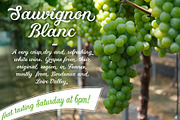 Robert's Script Regular, a Font by Roland Huse Design (Thumbnail 3 of 6)