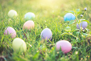 Easter eggs on green grass containing easter, april, and background