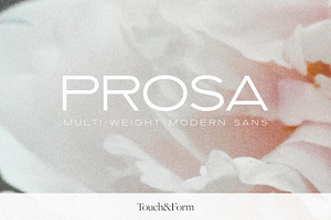 Prosa Multi-Weight Modern Sans