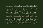 Moltaqa - Arabic Typeface, a Script Font by Mostafa El Abasiry (Thumbnail 5 of 12)