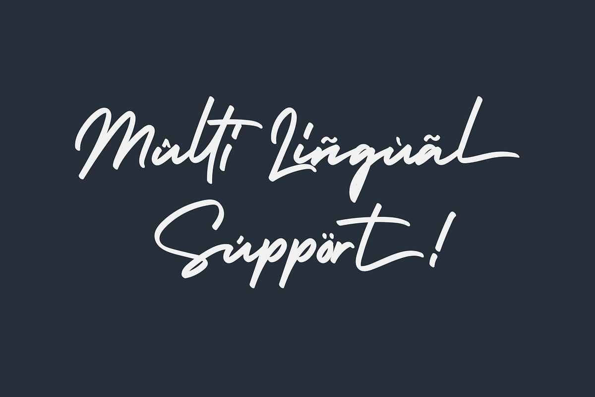Holiday - Script Handwritten Font, a Script Font by alphArtype (Photo 9 of 13)