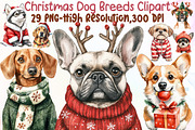 Christmas Dog Breeds Clipart Bundle, an Illustration by Sublimation Artist (Thumbnail 1 of 6)