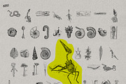 The Age of Dinosaurs, an Illustration by Nomad Visuals (Thumbnail 5 of 10)