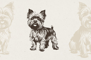 215 Dog Illustrations