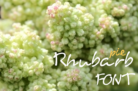 Rhubarb pie font