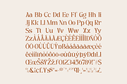 Eglia - Beauty Elegant Serif Font, a Serif Font by Pandeka Studio (Thumbnail 9 of 9)