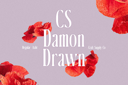 CS Damon Drawn, a Serif Font by Craft Supply Co.