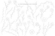 Mattiola font Floral illustrations, a Symbol Font by Alice_Evans (Thumbnail 4 of 11)