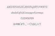 Willow Court - Handwritten Font, a Serif Font by Nap Time Design Co. (Thumbnail 2 of 2)