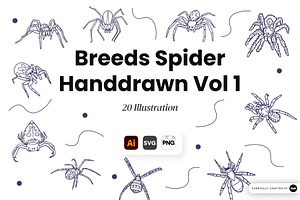 Spider Breeds Hand Drawn, an Animal Illustration by SLAB! Design
