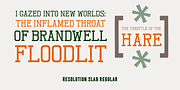Resolution, a Handwritten Font by Barnbrook Fonts (Thumbnail 9 of 10)