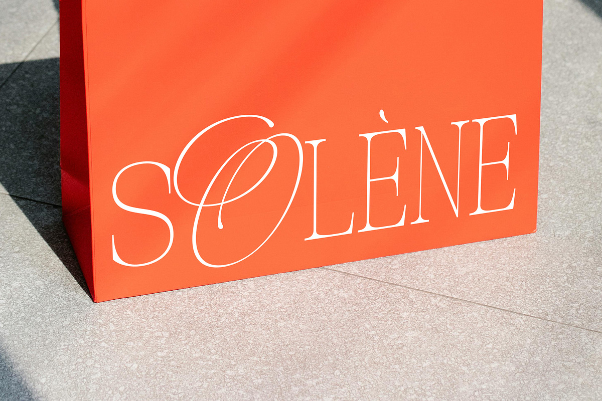 Bernard Grande, a Serif Font by Suza Studio (Photo 8 of 13)