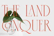 Cospiog - Modern serif font, a Serif Font by NuType (Thumbnail 3 of 9)