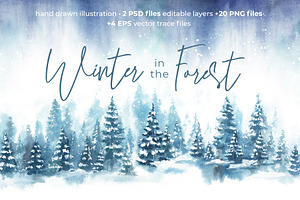 Winter in the Forest