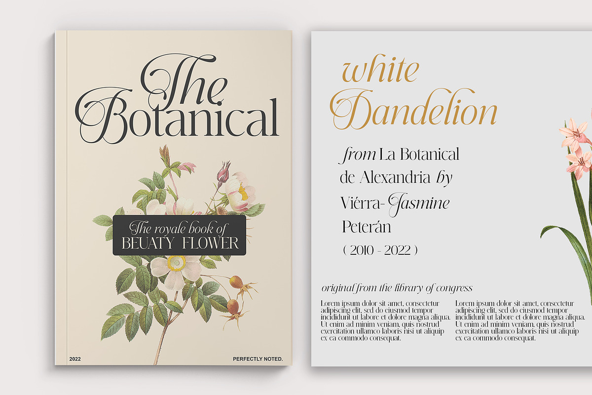 Perfectly Noted, a Serif Font by INKSUN™ (Photo 4 of 7)
