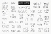 Woodland | 100% hand drawn clipart, an Animal Illustration by Olia (Thumbnail 4 of 17)