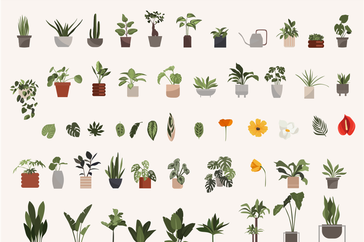 Flower collection, home plants, a Decorative Illustration by Yana_mide (Photo 3 of 10)
