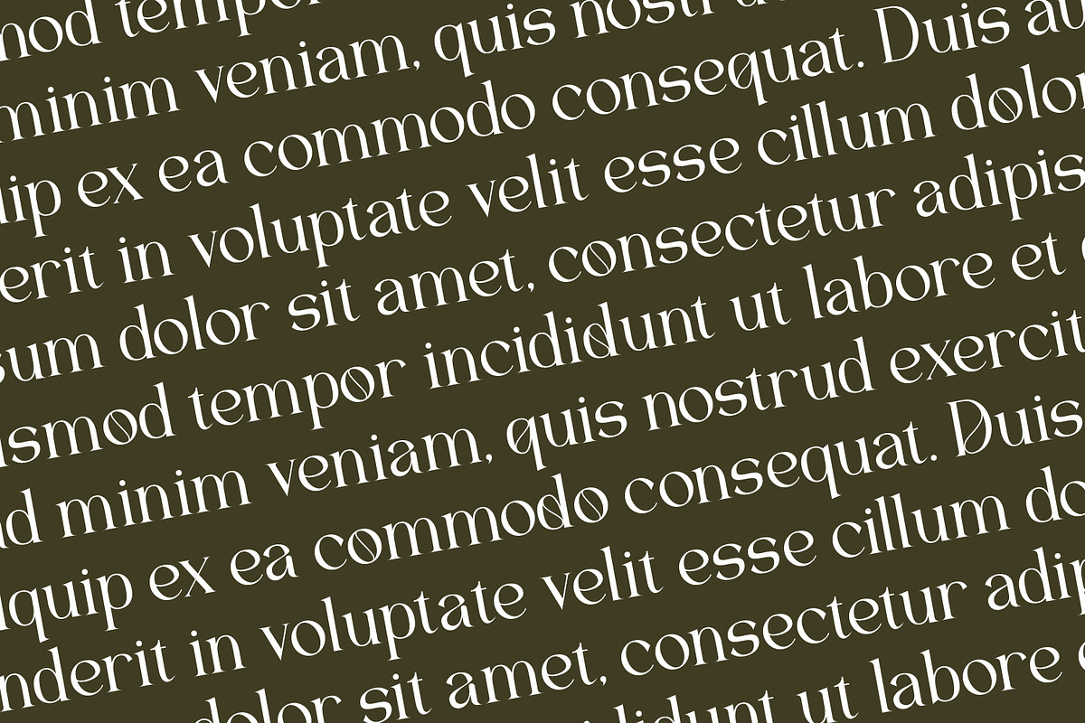 Quelgira - Serif Typeface Font, a Serif Font by Rishsketch (Photo 15 of 15)