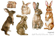 Watercolor brown rabbit clipart set, an Animal Illustration by yana.fefelova (Thumbnail 2 of 4)