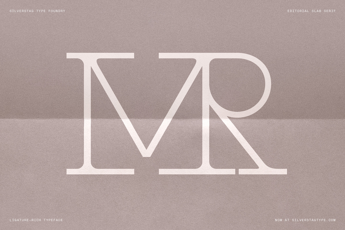 Alorisse – Editorial Ligature Font, a Font by SilverStag Type Foundry (Photo 12 of 20)