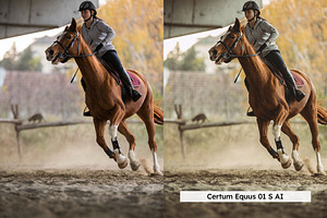 20 Equestrian Lightroom Presets LUTs