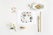 Forest Landscape Map Creator animals, an Animal Illustration by Bychovsky design (Thumbnail 6 of 8)