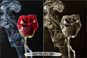 Darkroom Toners - Sepia Profiles, a Plug-in Add-On by Raztrend (Thumbnail 11 of 30)