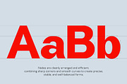 Richta – Premium Sans Serif Family, a Sans Serif Font by Sealoung (Thumbnail 2 of 10)