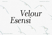 The Stripes Editorial + Italics, a Serif Font by Stripes Studio (Thumbnail 19 of 23)