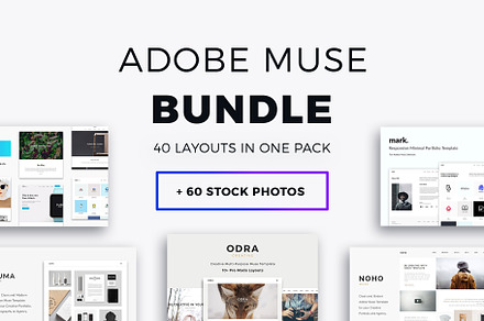 Adobe Muse Bundle - 40+ Templates, a Landing Page Template by PixaSquare
