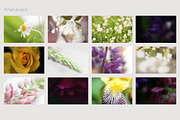 Dreamy Blurred Floral Backgrounds, a Background Graphic by dlinnaya (Thumbnail 7 of 9)