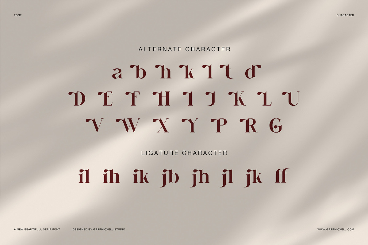 Hegilra – Modern Elegant Serif Font, a Font by Graphicxell (Photo 8 of 8)