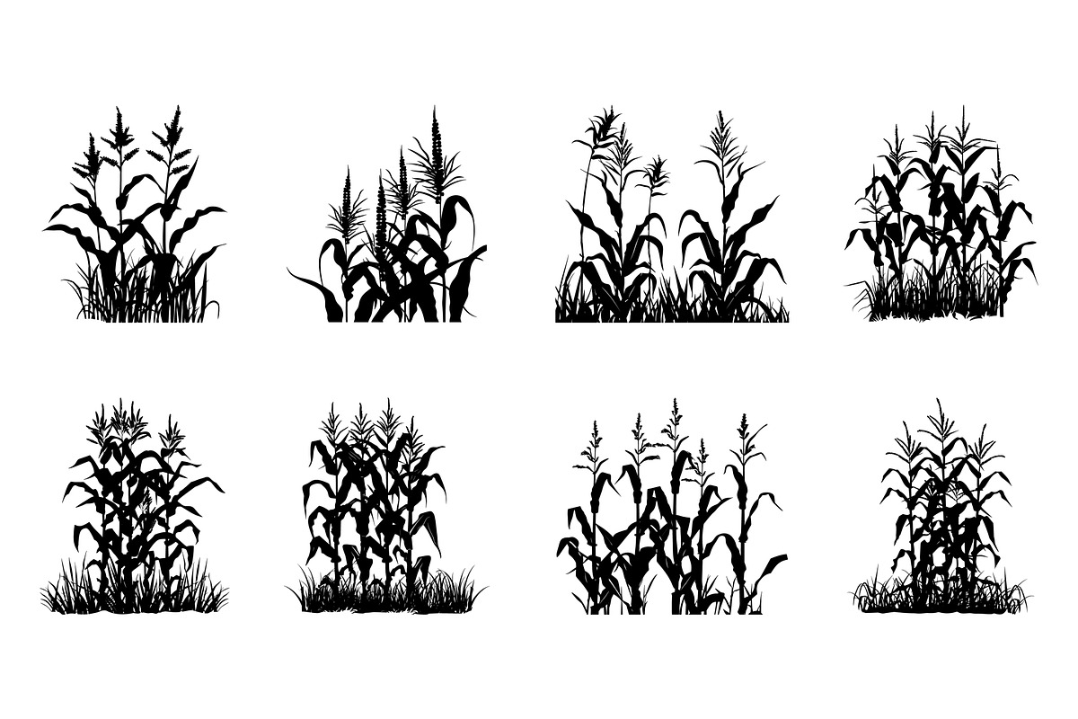 Corn Stalk Silhouette SVG Vector Set, a Finance Illustration by Gfx Expert Team (Photo 2 of 3)
