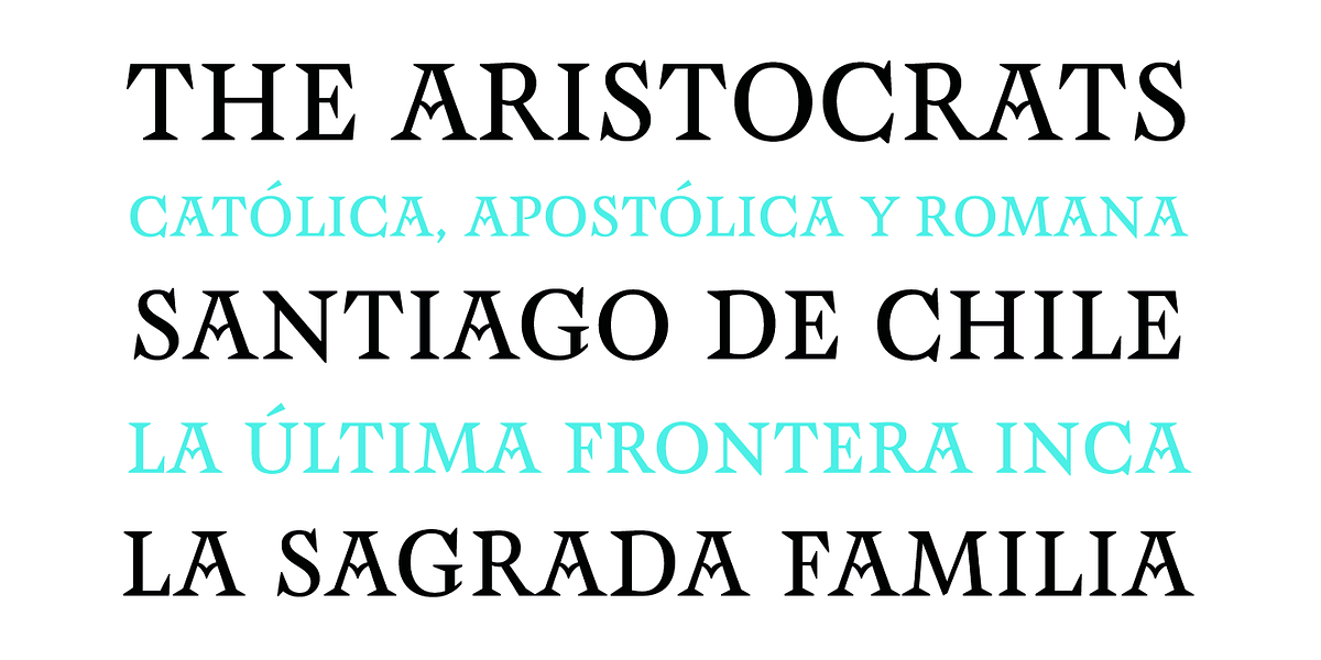 CF Santiago, a Serif Font by Contra (Photo 2 of 11)