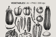 Vegetables & Herbs Vector Sketches., an Object Graphic by Yevheniia (Thumbnail 4 of 11)