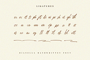 Dianella - Handwritten Script, a Script Font by Letterhend Studio (Thumbnail 6 of 9)