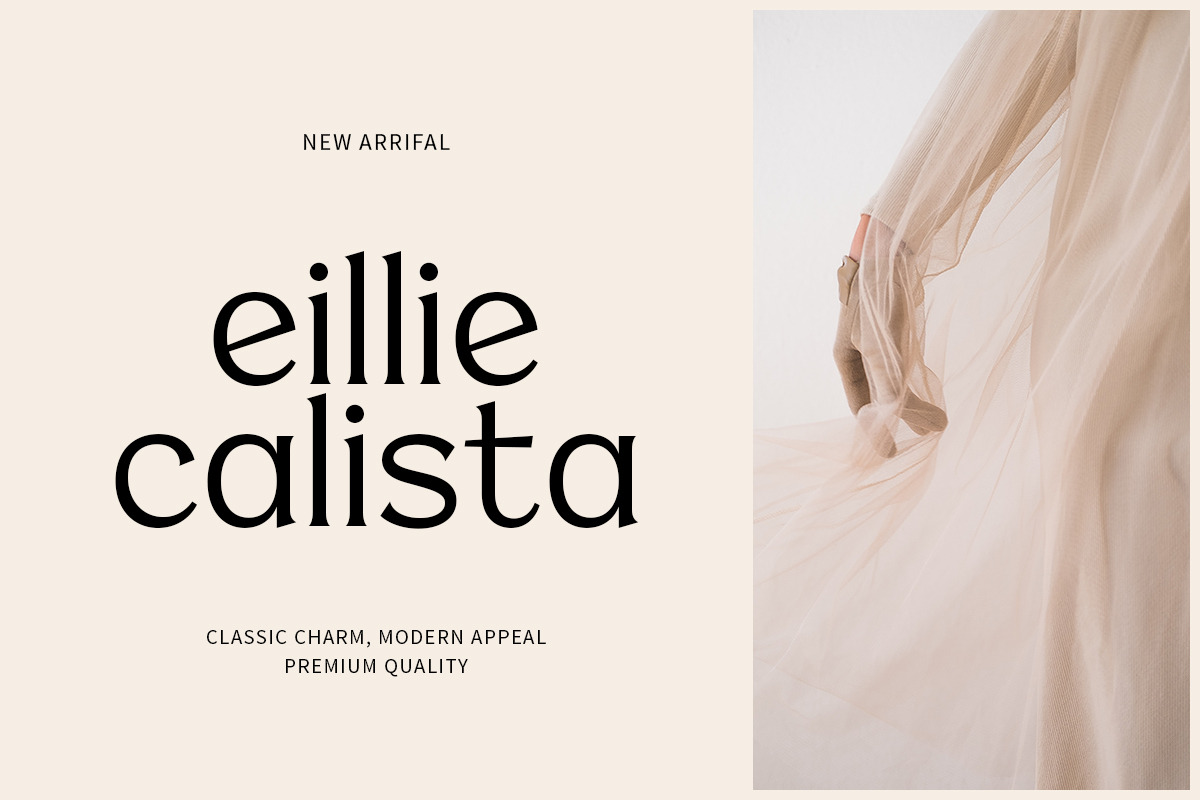 Bridgest, a Serif Font by Attract Studio (Photo 4 of 17)
