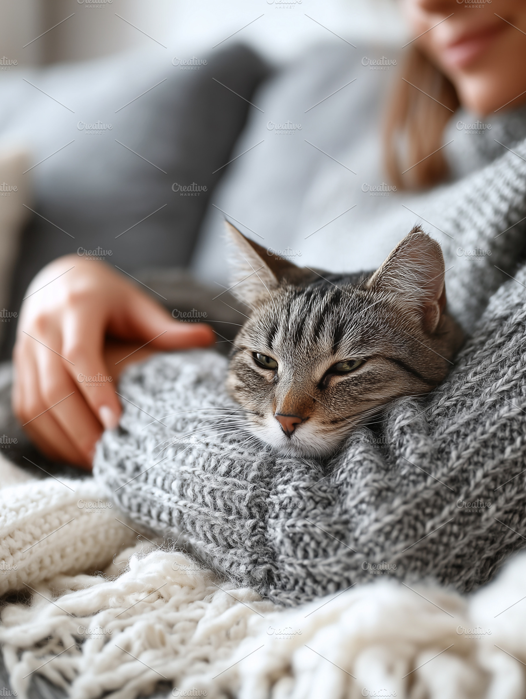 Relaxed tabby cat resting in a cozy, an Animal Photo by MistyDay