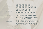Malovi - Modern Elegant Serif, a Serif Font by Font Liner (Thumbnail 11 of 13)
