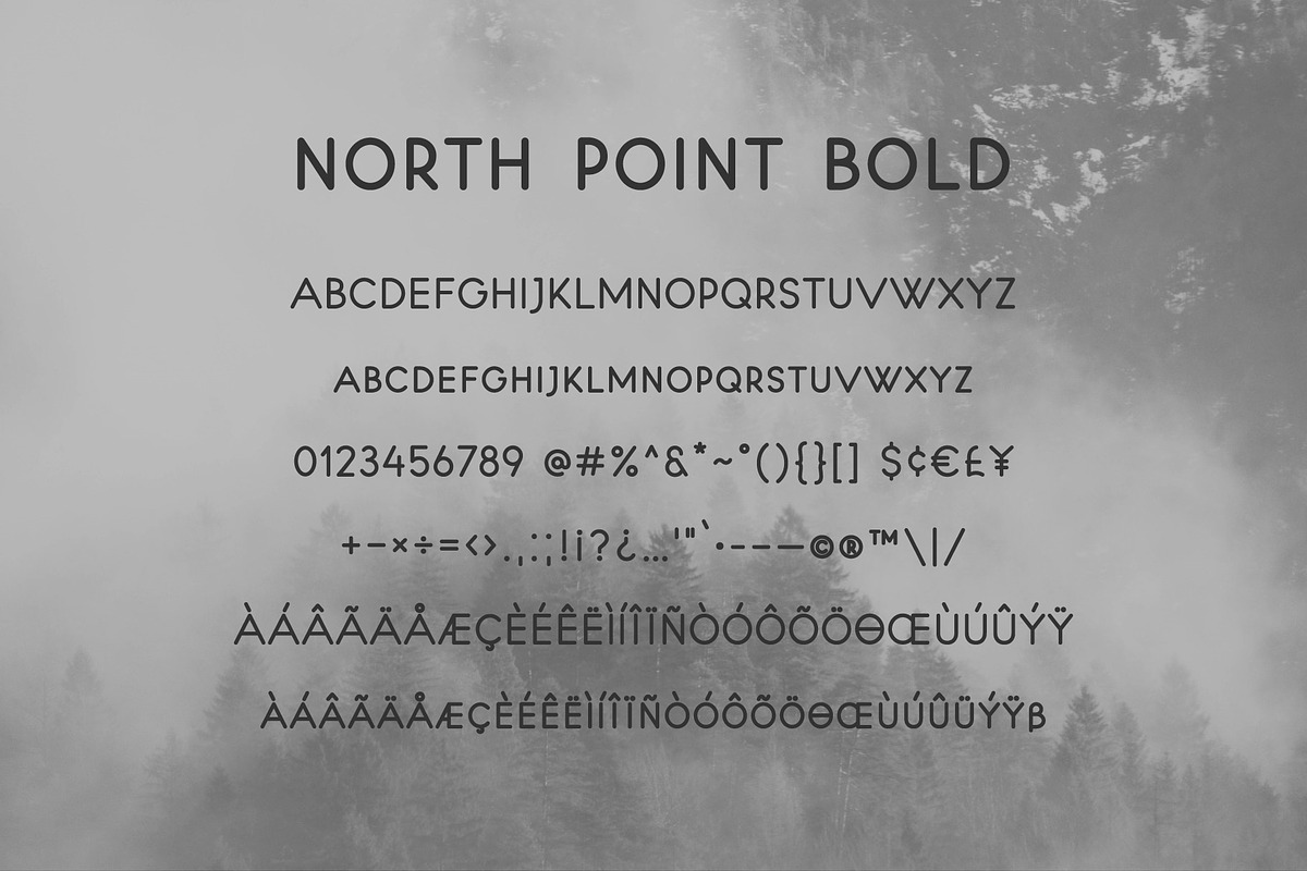 North Point | Sans Serif, a Sans Serif Font by MoonLake (Photo 10 of 10)