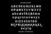 Richey Retro Font, a Serif Font by INKSUN™ (Thumbnail 7 of 8)