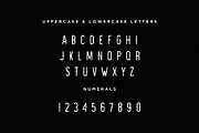 Vintage Trio Font Bundle, a Serif Font by Mikhail Fukurou (Thumbnail 6 of 13)