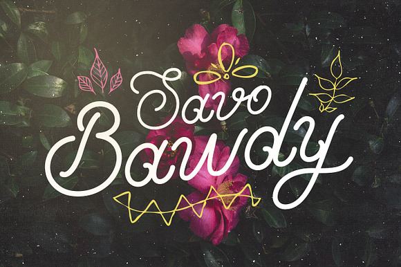 Savo Bawdy - Typeface preview 7