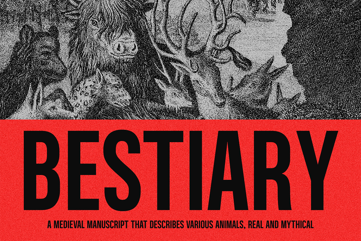 Conthic, a Sans Serif Font by graphicook (Photo 7 of 10)