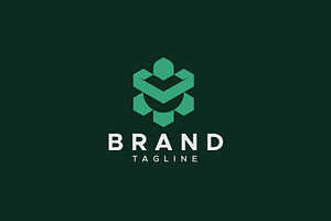 Turtle hexagon logo design, a Branding & Logo Template by Amadul11