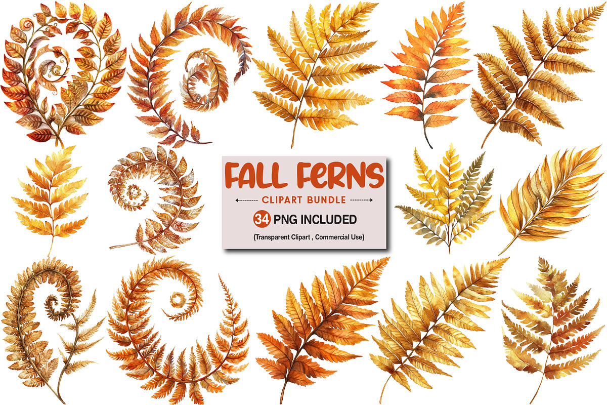 Fall Ferns Clipart Bundle, an Illustration by Pixels.Craft (Photo 1 of 4)