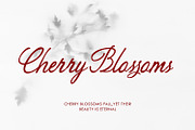 Peuttya Deffunte Sophisticated Font, a Script Font by Maulana Creative (Thumbnail 2 of 7)