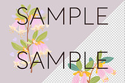 Pastel Australian Flowers Clipart, a Decorative Illustration by Pawcasso's Portraits (Thumbnail 5 of 10)
