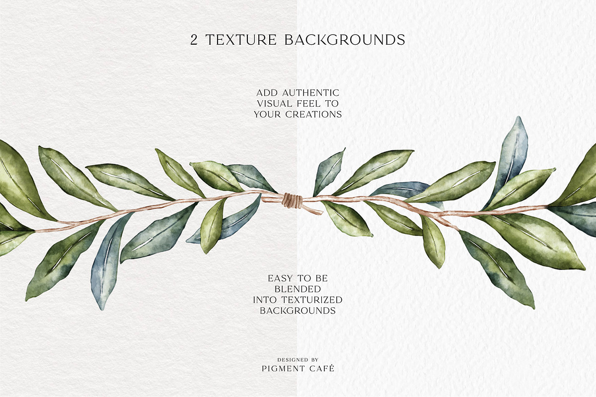 Watercolor Olive Branches & Wreaths, a Decorative Illustration by Pigment Café (Photo 6 of 8)